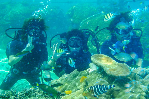 Coral Island Scuba Diving Tour